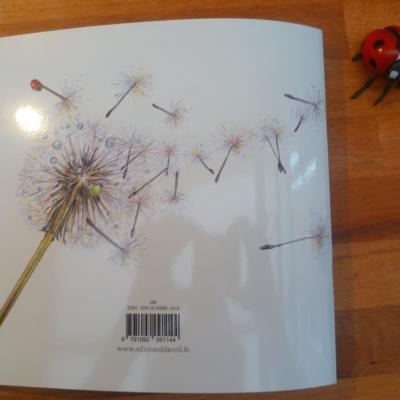 Une coccinelle sur un brin d'herbe