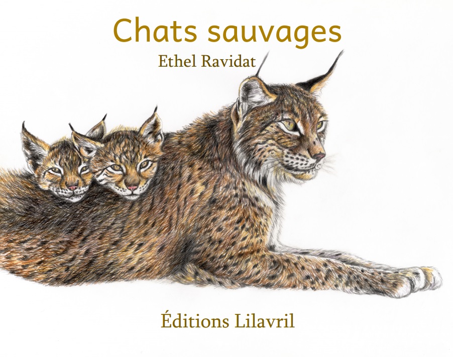 Image couv chats sauvages