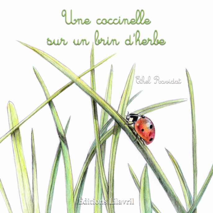 Image couv une coccinelle